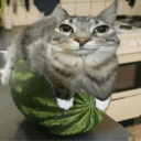 Pif Discord emoji