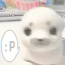 p_