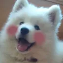 emoji_190