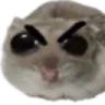 1277373749976367135