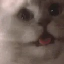 triggered