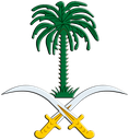 Saudi Discord sticker from 𝗠𝘂𝗻𝘁𝗮𝗱𝗮 ~ 𝗚𝗿𝗲𝗻𝘃𝗶𝗹𝗹𝗲 🌃