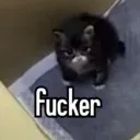 fucker