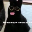 meow