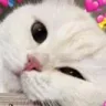 wink