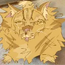 lionpaws