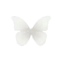 e4_butterfly