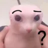 Cat_pregunta