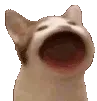 hypercat