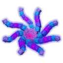 octobloom Discord Emoji - Grow a Garden 2 : GaG2 | Stocks & Trading | Codes & Values | Notifier & Events