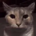emoji_1