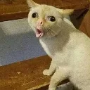 emoji_8