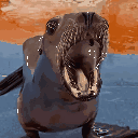 sealionjiggle animated emote | Sakura