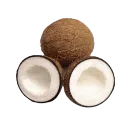 ss_coconuts