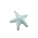 ss_bluestarfish