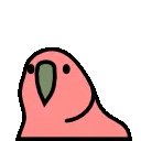 <a:Parrot:1507897348041212005>