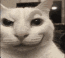 emoji_22 animated GIF emoji | Big News Coo.