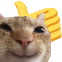 cat_like