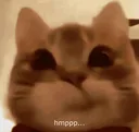 hmpppcat
