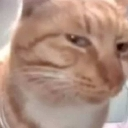 bat_ganyan_ka Discord Emoji - Random sh*t