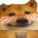dogeshy