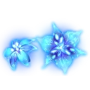 soreiean_lily