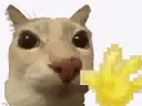 CatWaveMeme