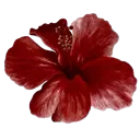 emoji_61