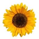 emoji_63