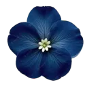 emoji_65
