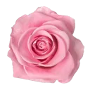 emoji_66