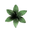 emoji_66
