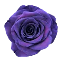emoji_69