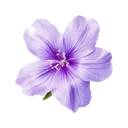 emoji_70