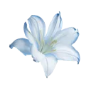 emoji_71