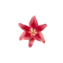 emoji_72