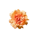 emoji_72