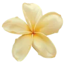 emoji_70