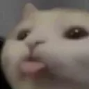 p_ p_