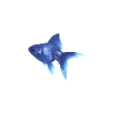 bluefishrole