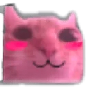 blushcat