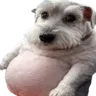 chud
