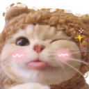 silly_cutie_cat custom emote from EVOLUTION