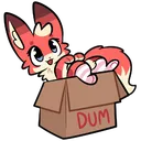 Box