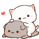 r_hugs_cat