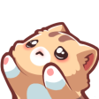 CatHugMe