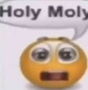 :holymoly: