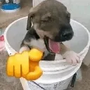 laughing