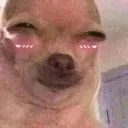 mesongrojo Discord emoji