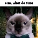 whatthetuna